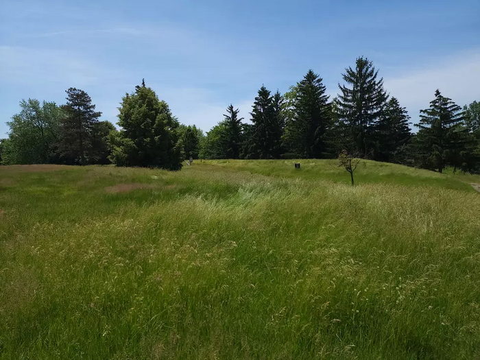 The Jewel of Grand Blanc - From Banana 1015 Radio